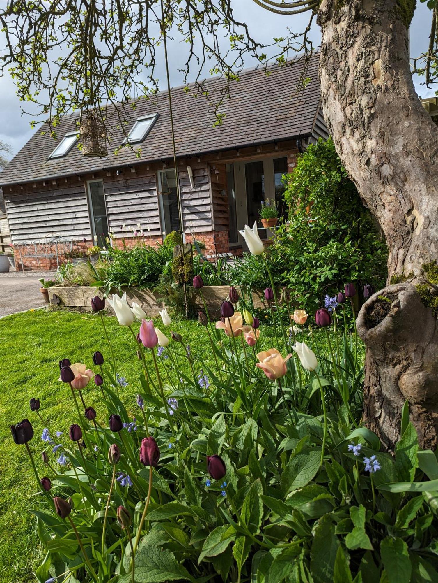 The Dorm Bed And Breakfast Eccleshall Kültér fotó